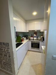 Eight Riversuites (D12), Condominium #593577251